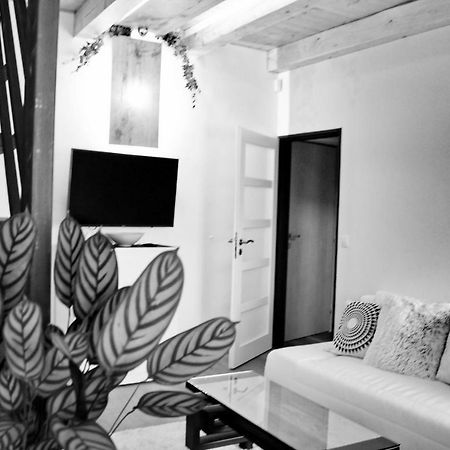 Apartmany Ztracena Roudnice nad Labem Eksteriør billede