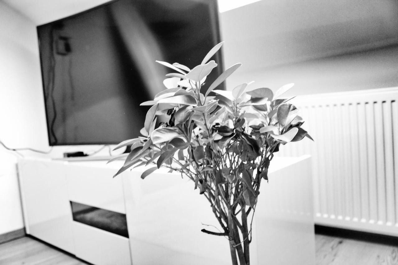 Apartmany Ztracena Roudnice nad Labem Eksteriør billede